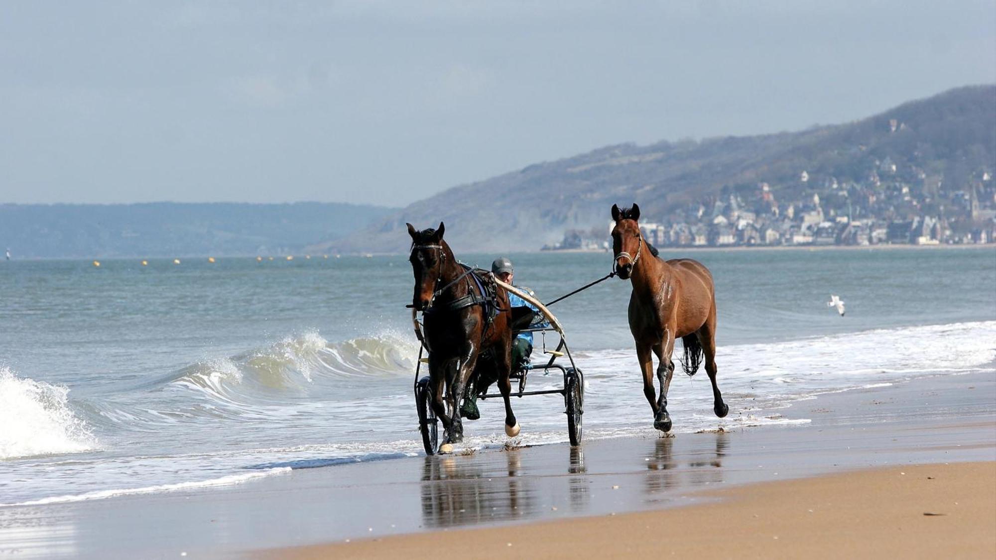 Cote Plage & Balcon Cabourg Exterior foto
